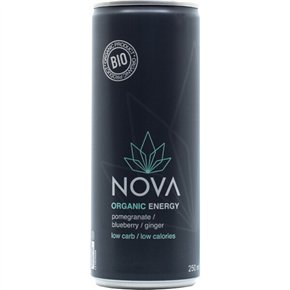 Pomegranate, Blueberry & Ginger Organic 0.25L
