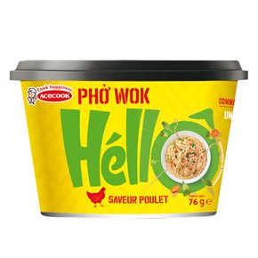 Instant noodles Pho wok chicken cup 76g
